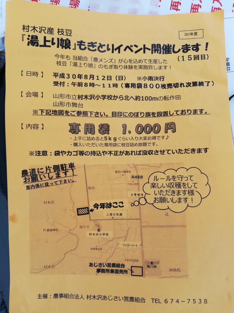 本日、枝豆もぎ取りイベント☆