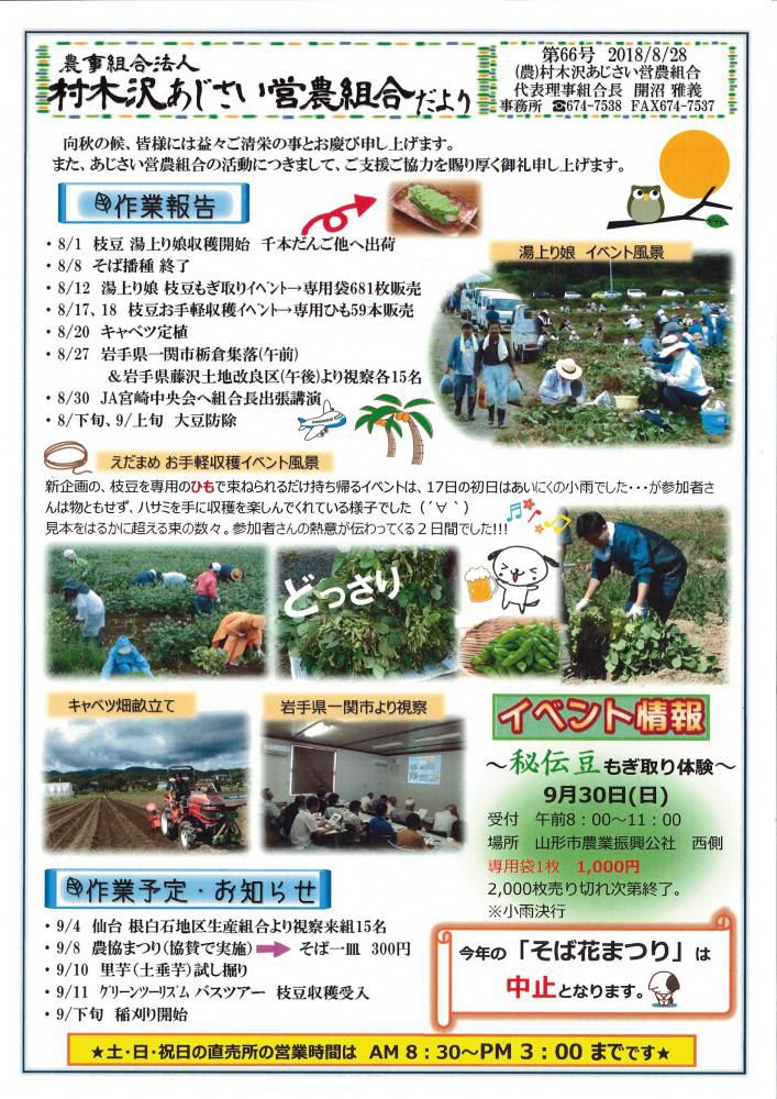 あじさいだより　8月号