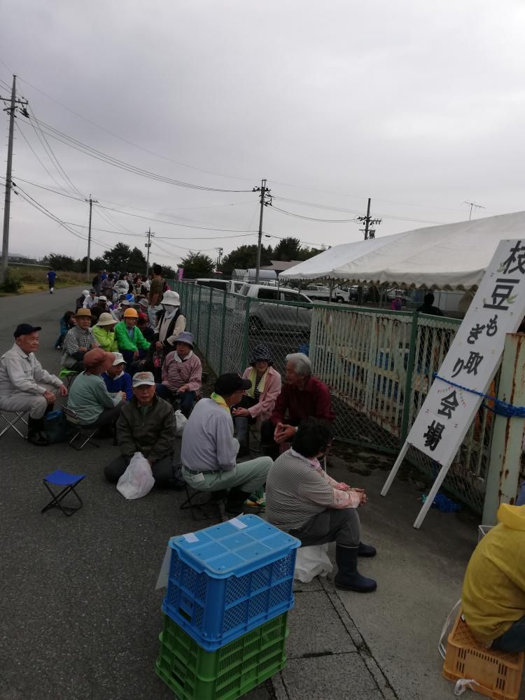 秘伝豆もぎ取りイベント開催します！　
