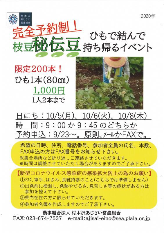 枝豆「秘伝豆」ひもで結わえて持ち帰るイベント！！　