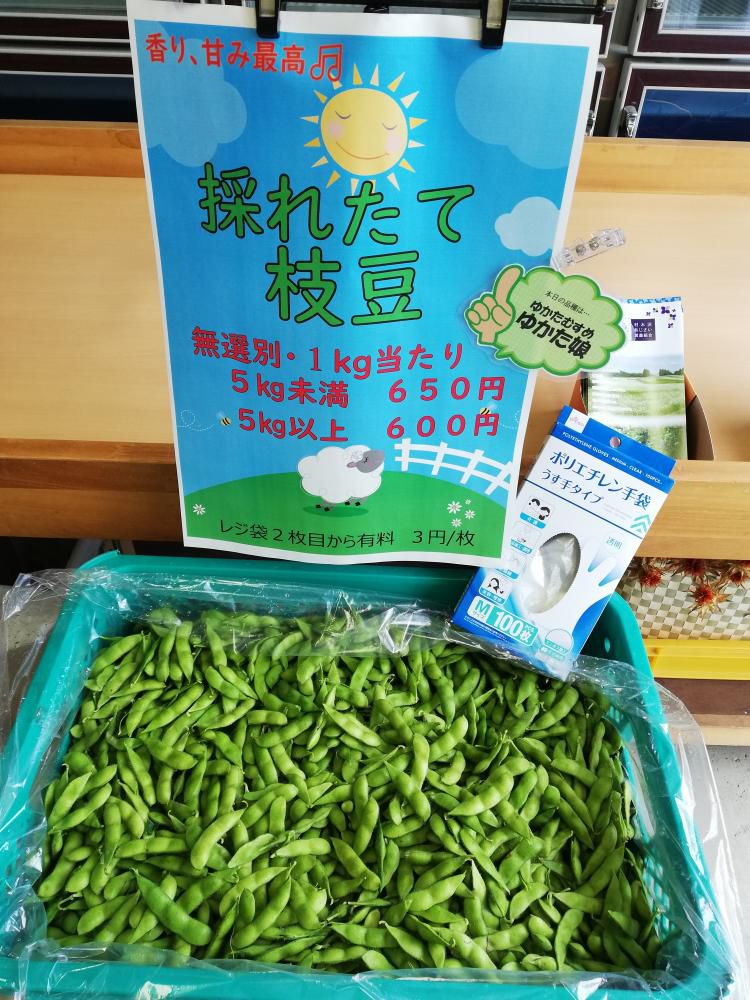 9/1より　枝豆「ゆかた娘」量り売り開始(*>∀<*)