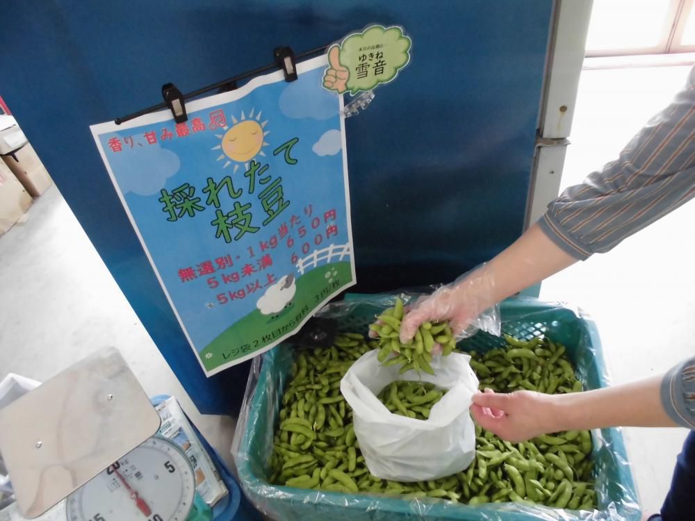 枝豆量り売り　9/17～雪音開始！