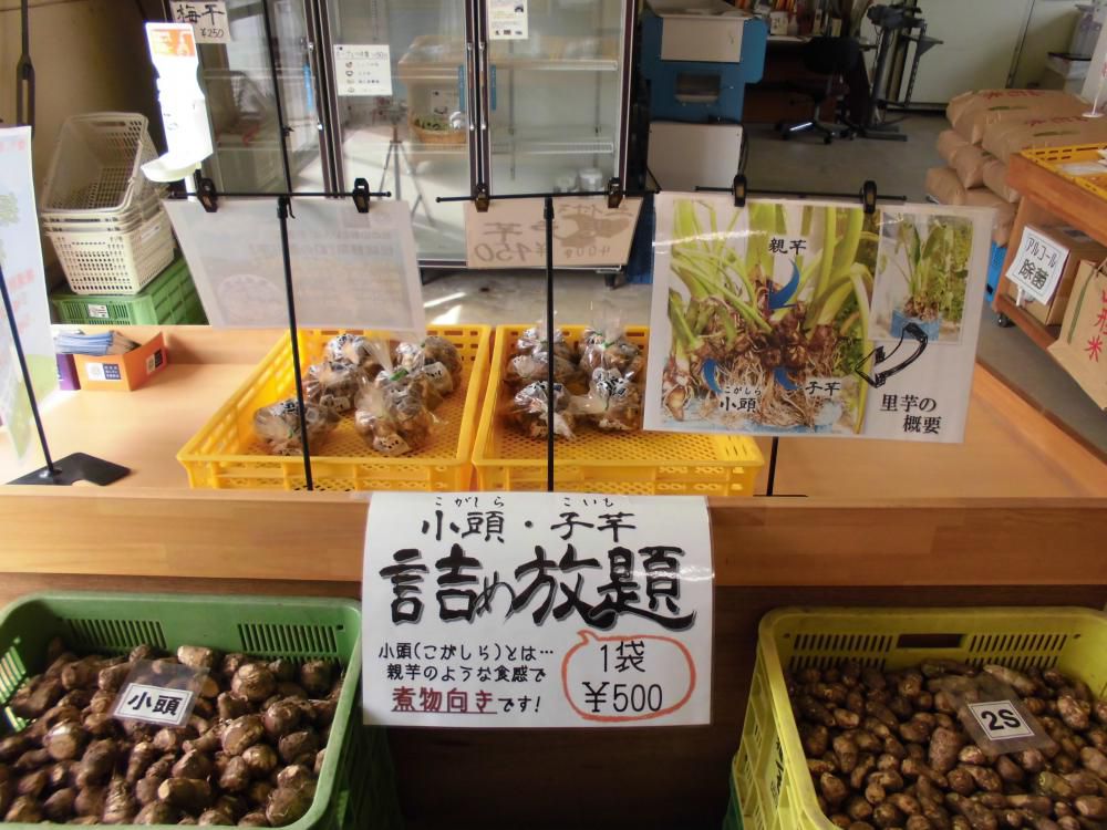 悪戸芋　土付　９/１７～販売開始！！