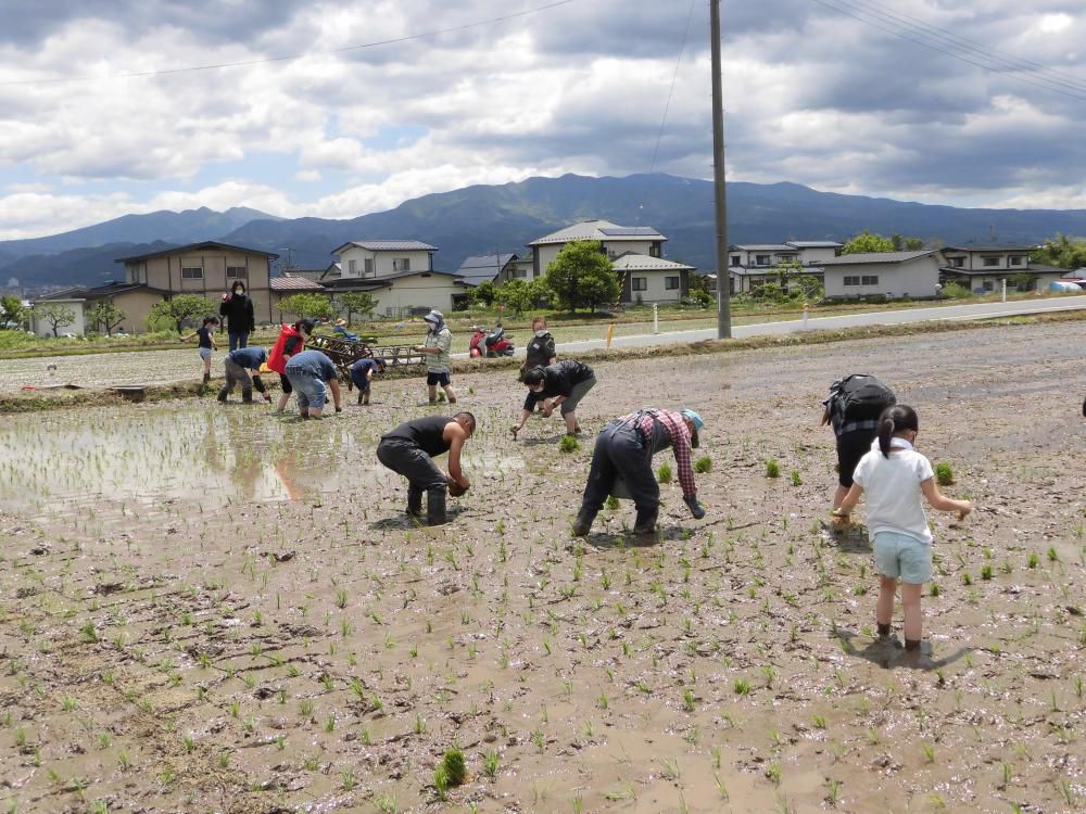 米つくり隊出動！