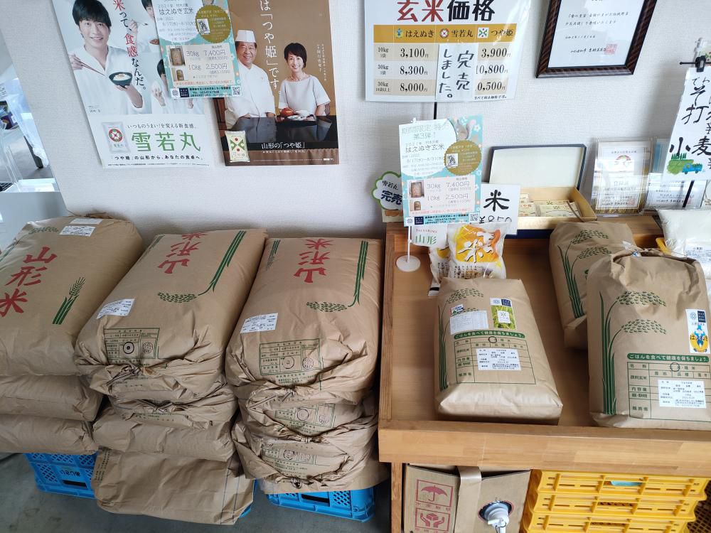 本日～　はえぬき特売スタート!