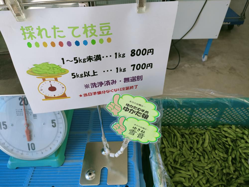 本日29日から枝豆「ゆかた娘＆雪音」量り売りスタート!