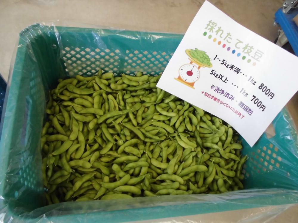 大好評！枝豆量り売り