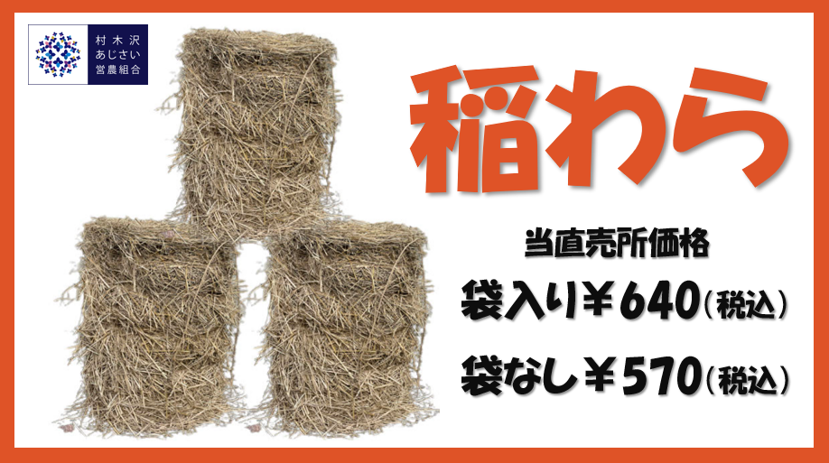 春作業にいかがでしょうか？