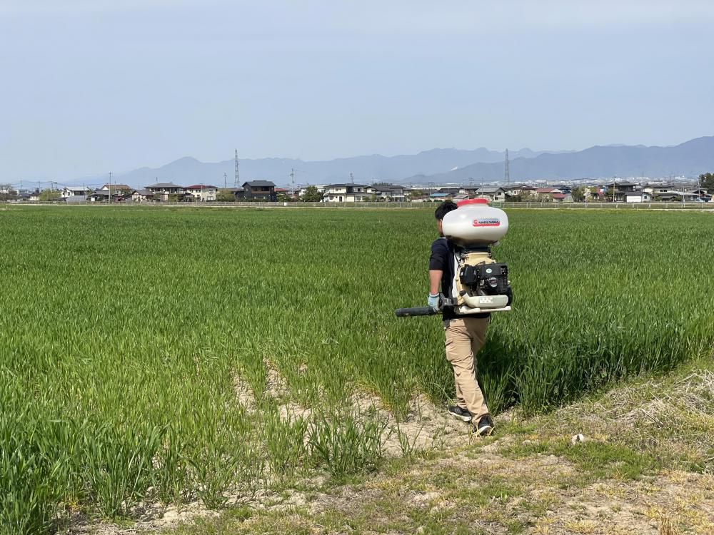 ゴールデンウィークの営業のお知らせ