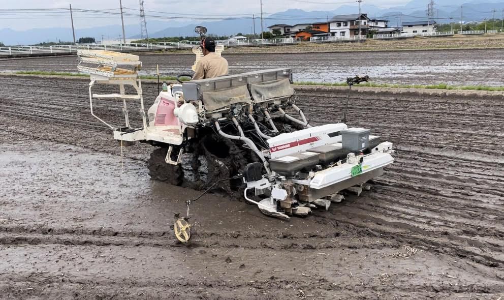 直播作業を行っています！