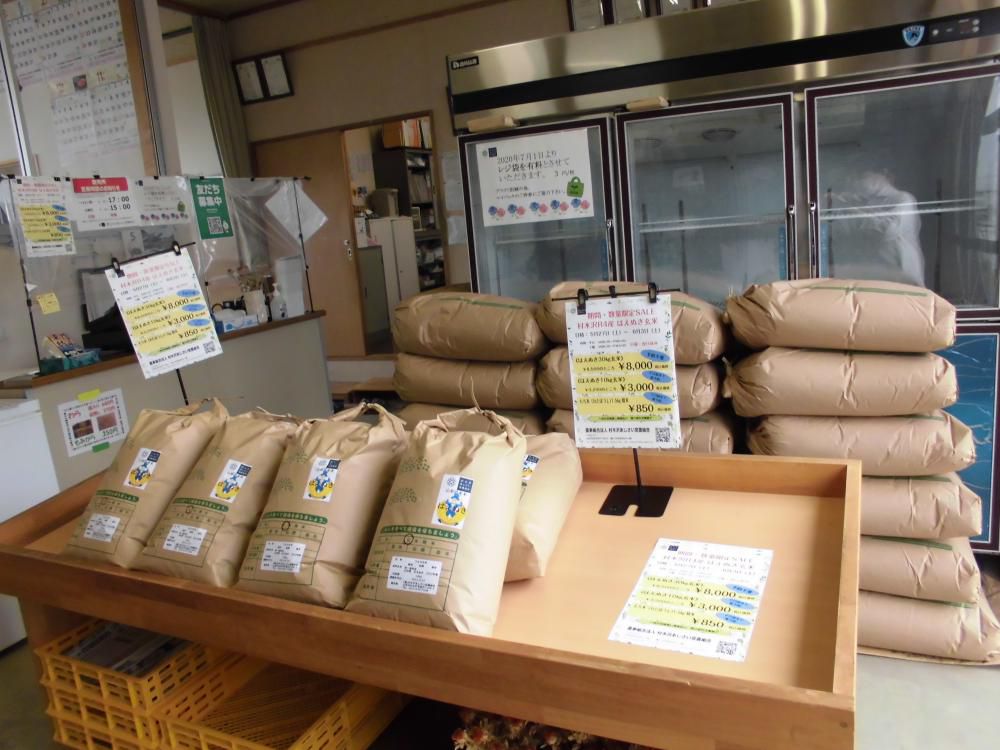 R4年産　はえぬき玄米SALE☆彡