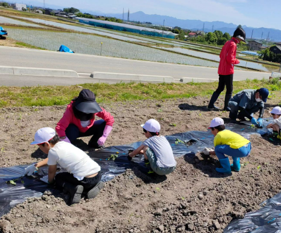 村木沢小学校のお友達と植付けを行いました！