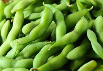 枝豆【湯上り娘】量り売り販売を行います！