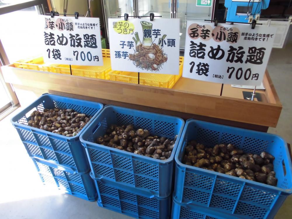 小頭・子芋詰め放題☆彡