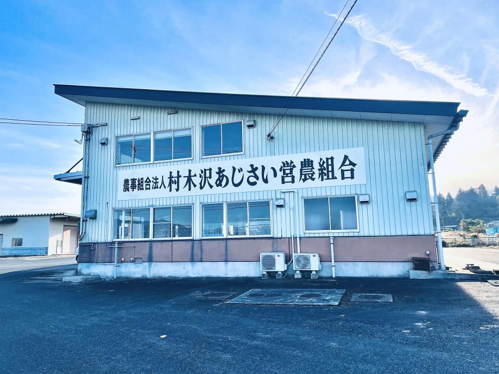 明けましておめでとうございます