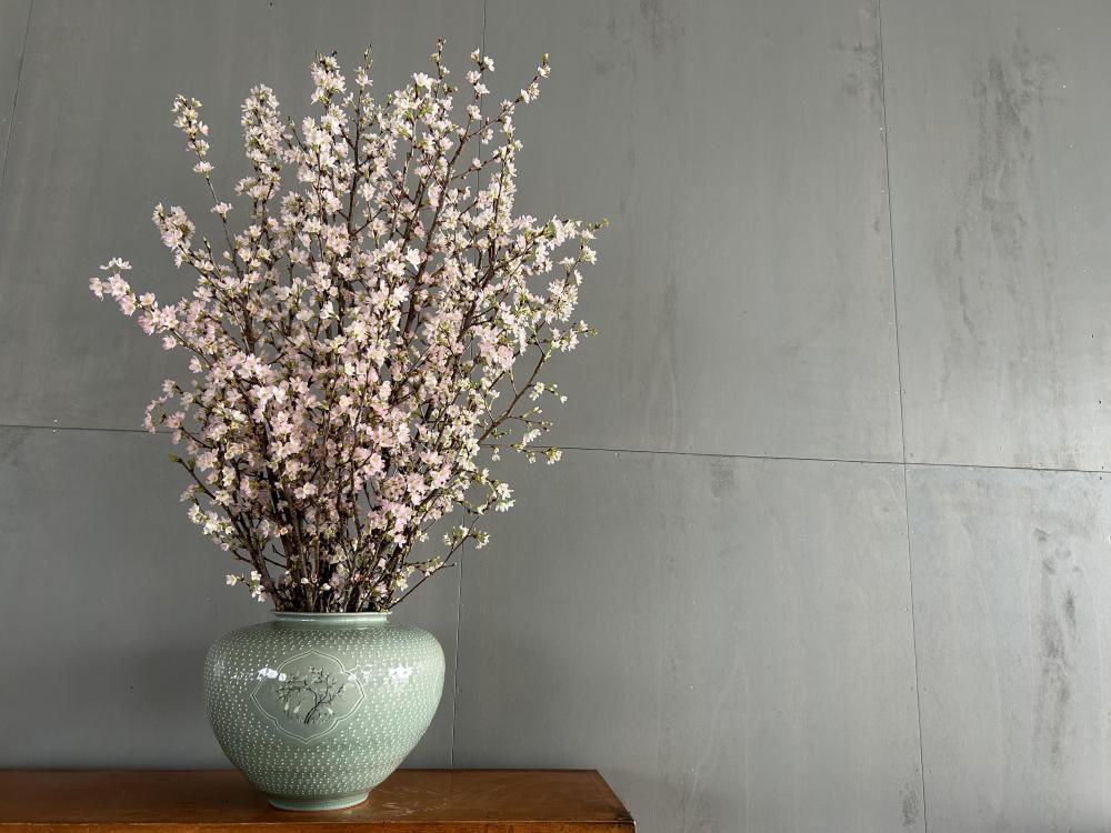 満開の啓翁桜