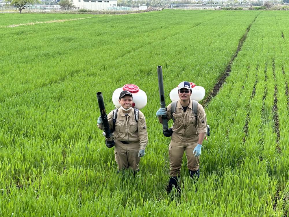 ゴールデンウイークのお知らせ