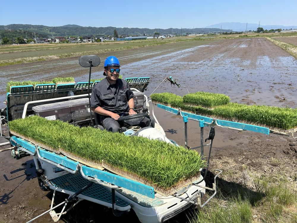 田植え真っ最中です！