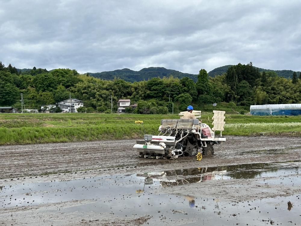 田植えも終盤戦です！