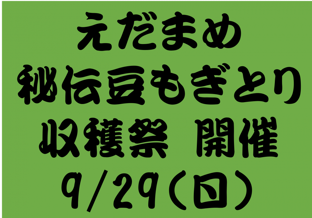 枝豆イベント開催！