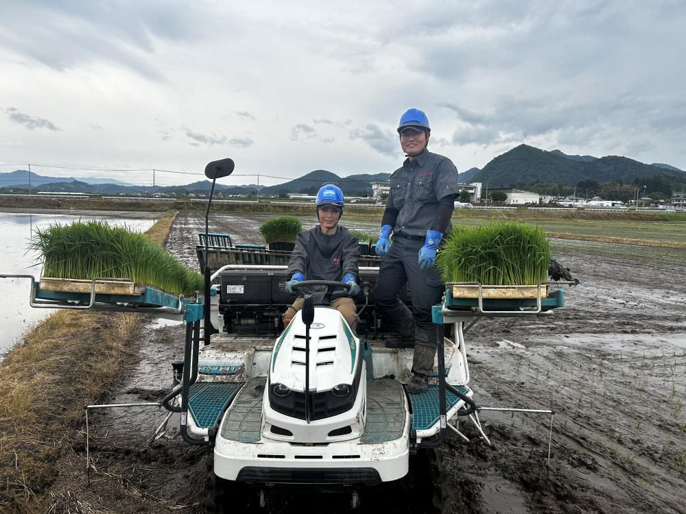 田植え作業真っ只中です！！