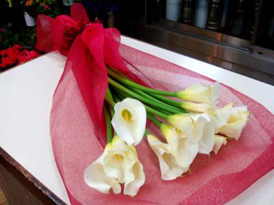 純白のカラーの花束です。