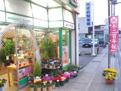 お店も春の装いになりました！
