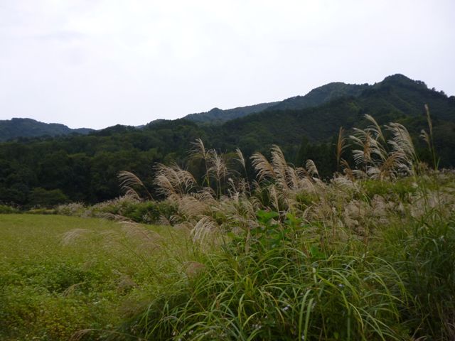 「挑戦！発見！！感動！！！葉山探検隊」