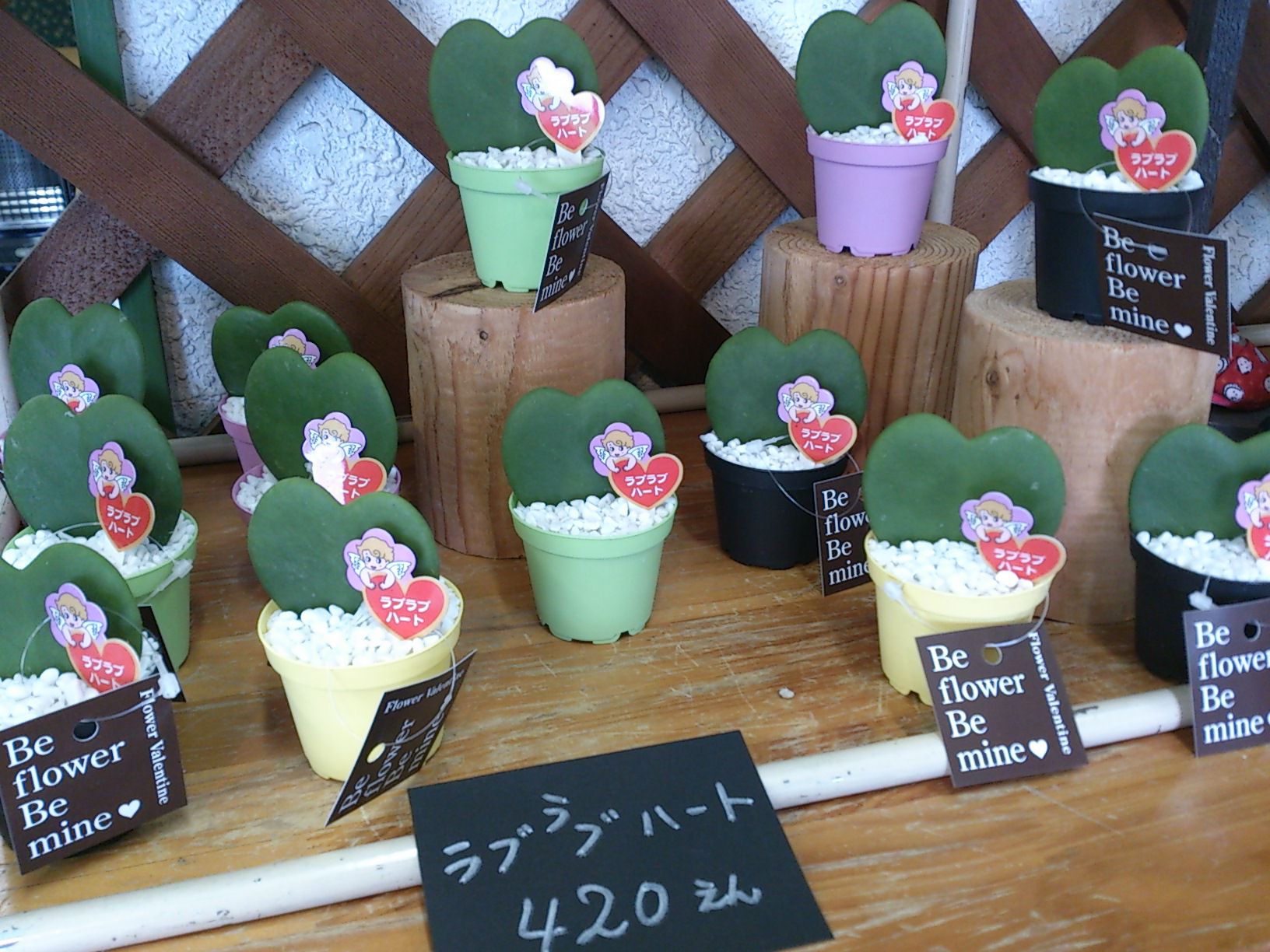 手のひらにのるハート　(*^^*)　♪