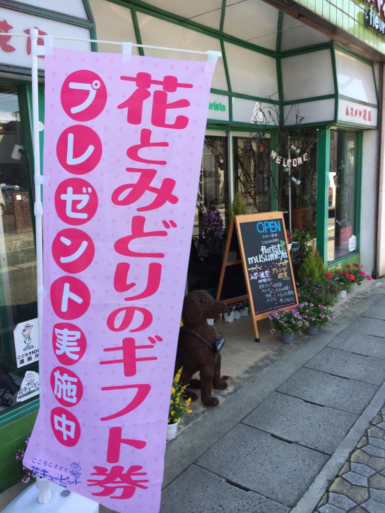 花キューピットキャンペーンはじまりました！(^O^)／