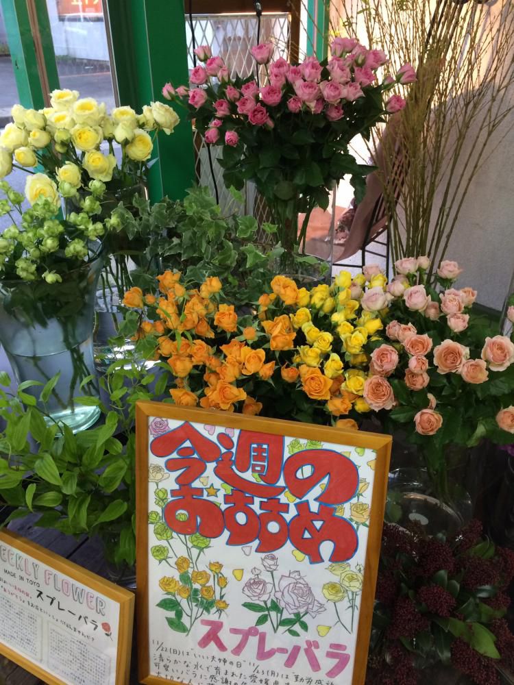 ウィークリーフラワー 今週のおすすめ。