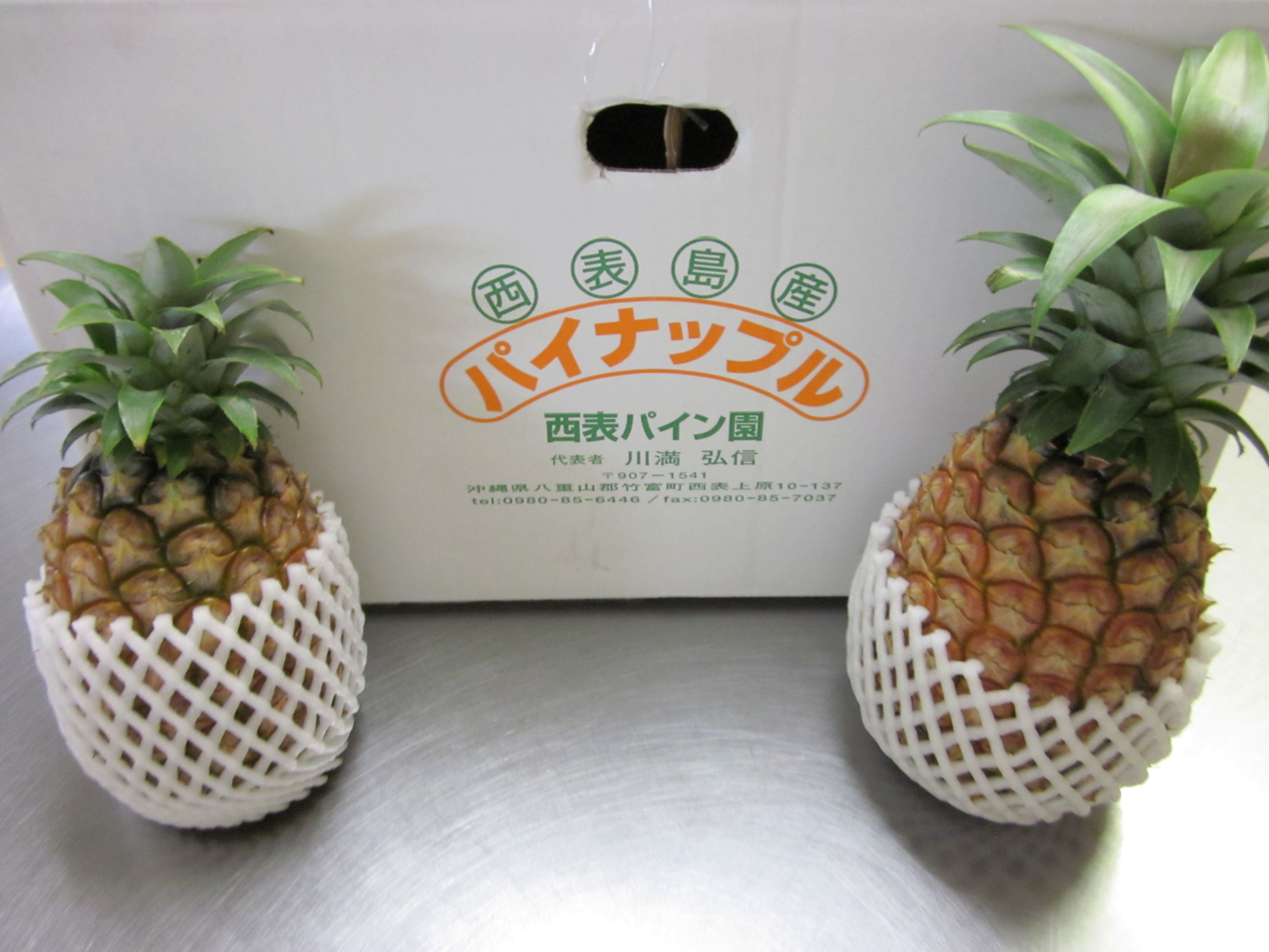 おっパイナップル