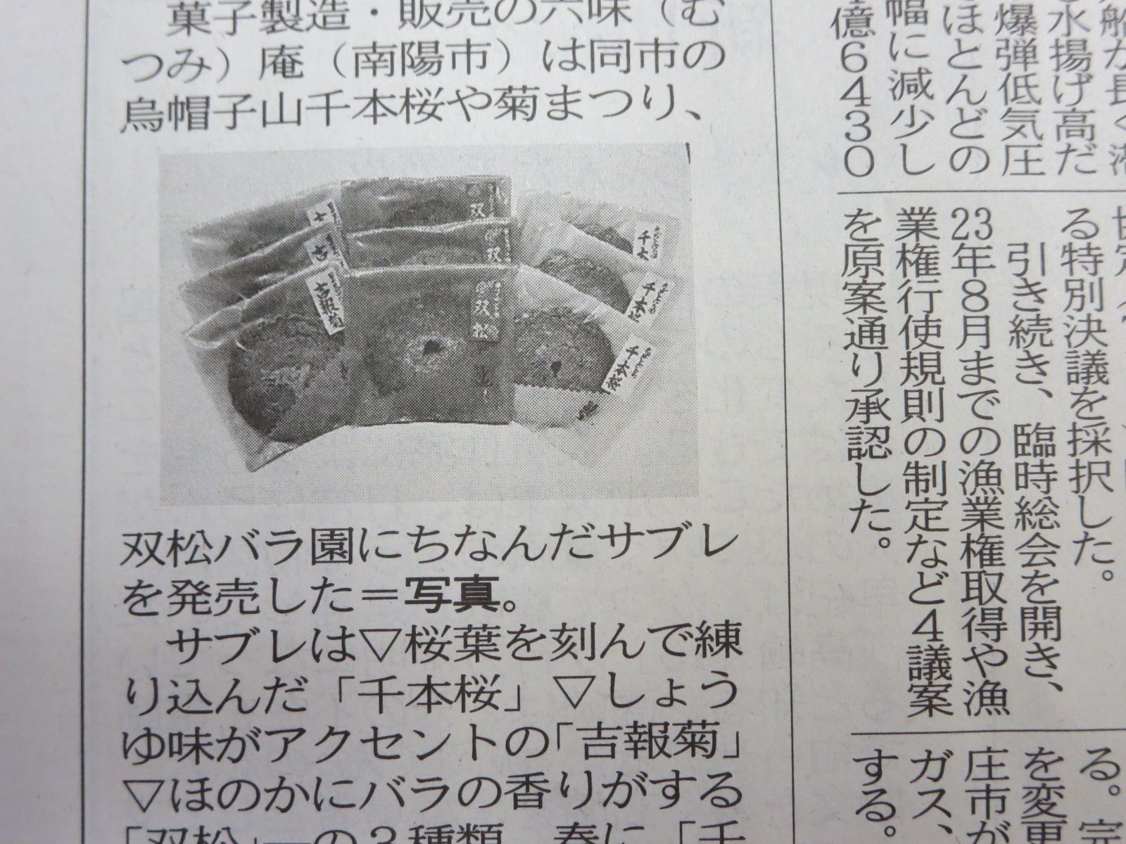 サブレ南陽花まつり