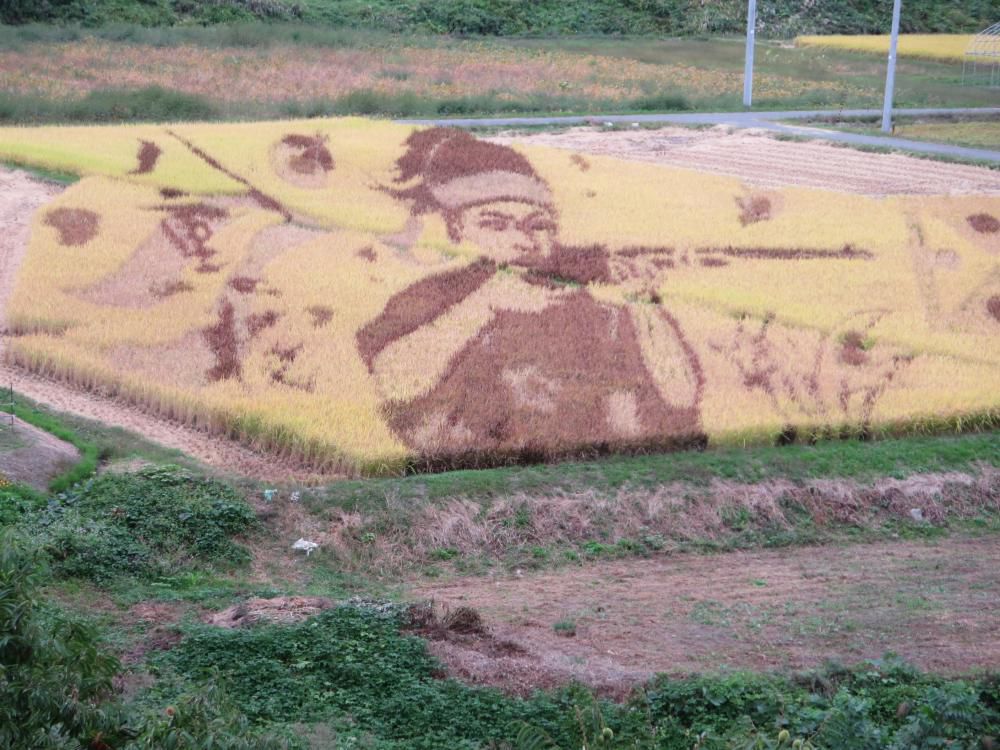 田んぼアートってす・ご・いΣ(ﾟдﾟlll)