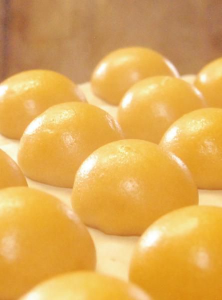 包装紙リニューアル