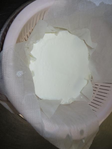 自家製カッテージチーズ