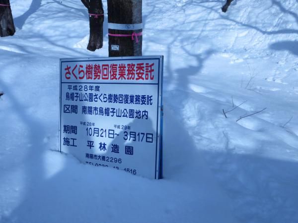 樹勢回復してほしい