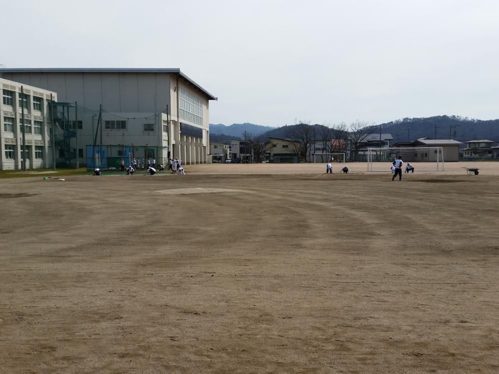 球春到来です。