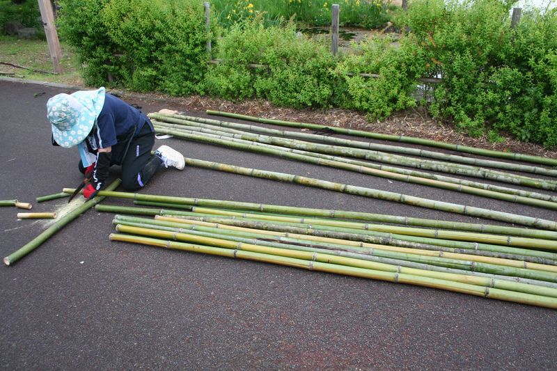 あやめ公園にて竹垣作成講習会が行われました！（５月２８・２９日）
