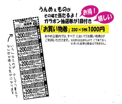 長井あやめまつり♪6/22・23あやめにぎわい市！限定『お買い物券』のご案内