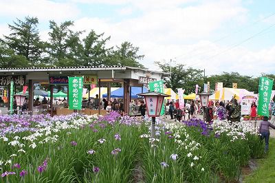 長井あやめにぎわい市が開催されました！（6月22、23日）
