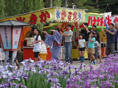 ’13あやめまつりイベント総集編Ⅱ