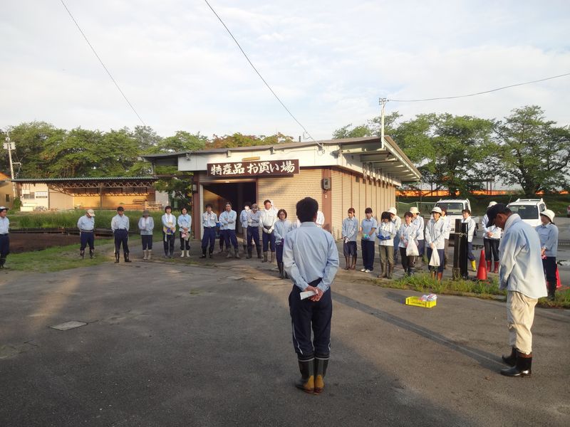 あやめ公園にて茎切りボランティア作業が行われました（８月３１日）　