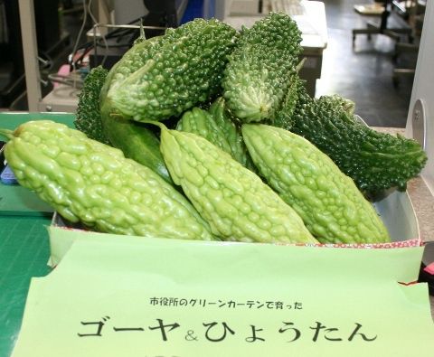 Eテレ「やさいの時間」にて長井市役所のグリーンカーテンの取り組みが放送されます【１０月１３日】
