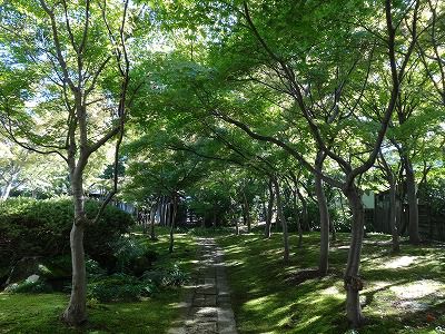’13紅葉情報　小出地区【10月18日】