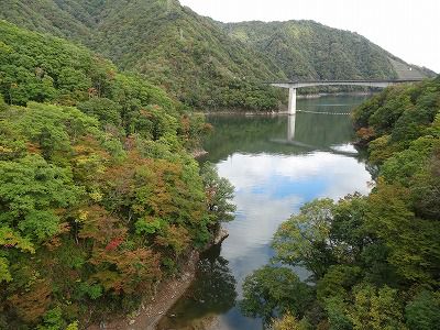 ’13紅葉情報　長井ダム周辺【10月21日】