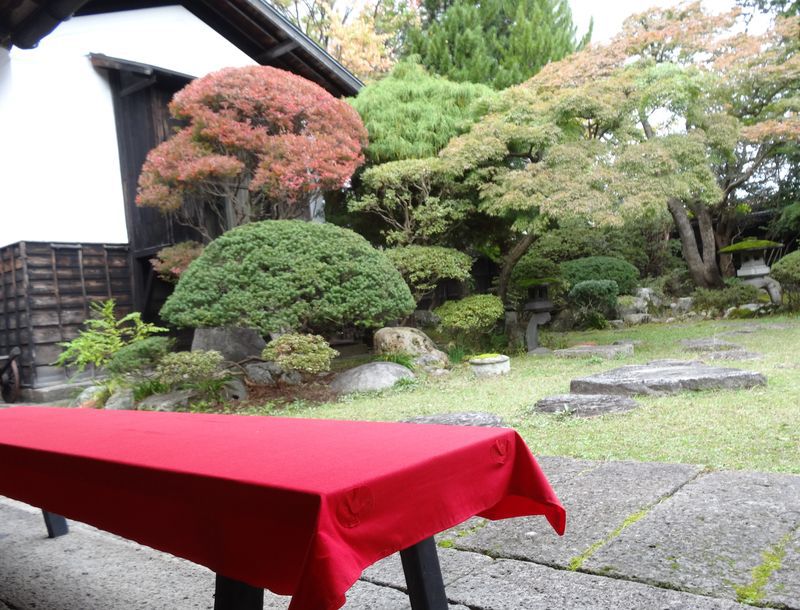 ’13紅葉情報　宮地区【10月24日】 