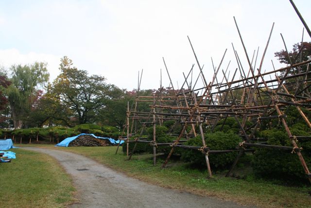 ’１３白つつじ公園　雪囲い作業