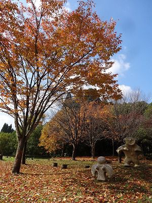 '13紅葉情報　西根地区【11月5日】