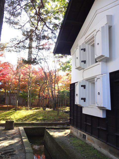 ’13紅葉情報　小出地区周辺【11月6日】